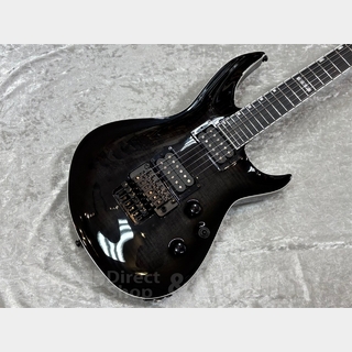 エレクトリックギター、フロイドローズの検索結果【楽器検索デジマート】