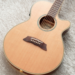 Takamine TSP138C N 【極薄ボディ】【日本製】