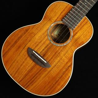 aNueNue aNN-AAA3　S/N：AM22033 【テナー】 【未展示品】