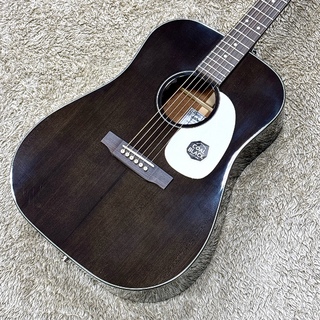 HEADWAYエレクトリックアコースティックギター Headway ヘッドウェイ Japan Tune-up Series HOC-NORTHBIRD NA