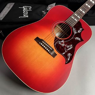 Gibson、Hummingbird Specialの検索結果【楽器検索デジマート】