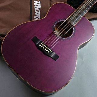 Morris FLB-80 LAV (ラヴェンダー) オール単板 【現物画像】