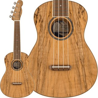 Fender Acoustics 【数量限定特価】【先取り大特価SALE】 ZUMA EXOTIC CONCERT UKULELE (Spalted Maple) フェンダー