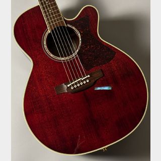 アコースティックギター、Takamineの検索結果【楽器検索デジマート】