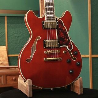 D'Angelico 【アウトレットセール】【ストラッププレゼントキャンペーン】Excel Mini DC, Viola