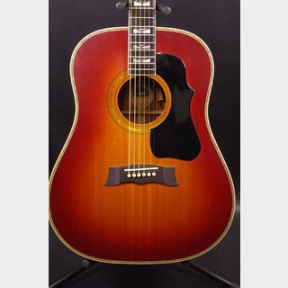 アコースティックギター／エレクトリック・アコースティック