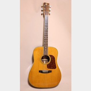 Elite byTAKAMINE TW-30G ギャラガーモデル