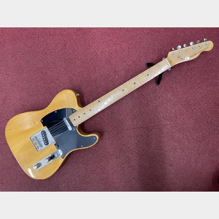 FERNANDES FTE-65N