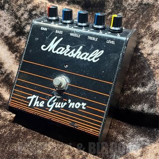 Marshall、The Guv'norの検索結果【楽器検索デジマート】