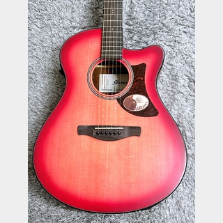 IbanezAAM50CE CRO (Coral Red Burst Open Pore) -Advanced Acoustic-【2024年最新モデル】【エレアコ】