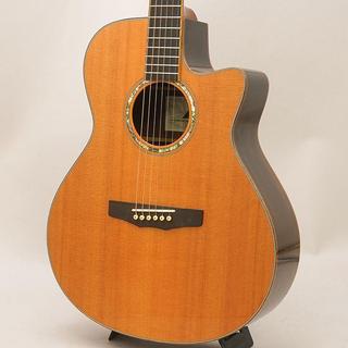 アコースティックギター、Morrisの検索結果【楽器検索デジマート】
