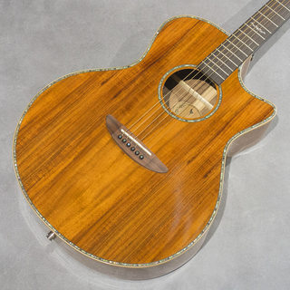 アコースティックギター／エレクトリック・アコースティックギター