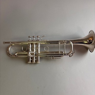 トランペット、Bachの検索結果【楽器検索デジマート】