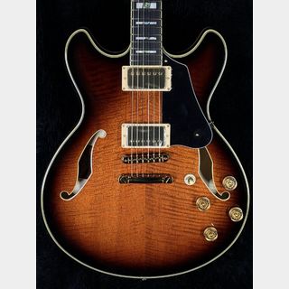 エレクトリックギター ＞ セミアコ、Ibanezの検索結果【楽器検索