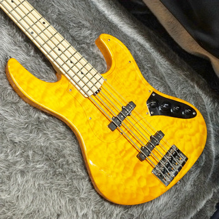 EDWARDS E-AM-160QM Amber