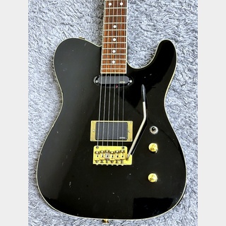 FERNANDES TEJ-55G EMG MOD 【中古品】