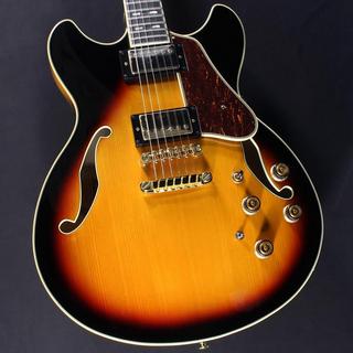 エレクトリックギター、Ibanez、セミアコの検索結果【楽器検索