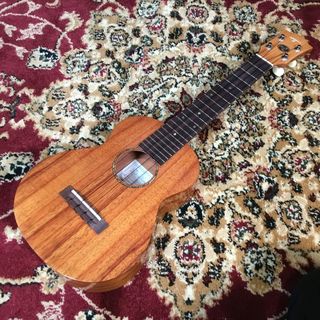 T's UkulelesCS-200