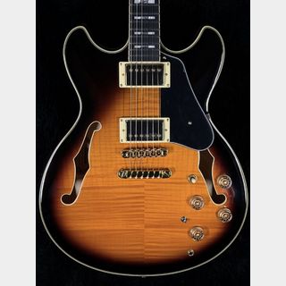 エレクトリックギター ＞ セミアコ、Ibanezの検索結果【楽器検索