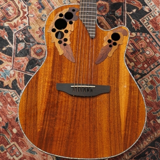 アコースティックギター／エレクトリック・アコースティックギター