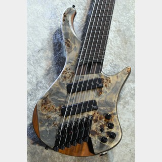 エレクトリック・ベース ＞ 変形タイプの検索結果【楽器検索デジマート】