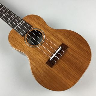 COTONE CS5C NAT コンサート【下取りがお得！】