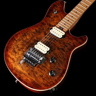 EVH Wolfgang Special QM Baked Maple Fingerboard Tiger Eye Glow 【御茶ノ水本店】