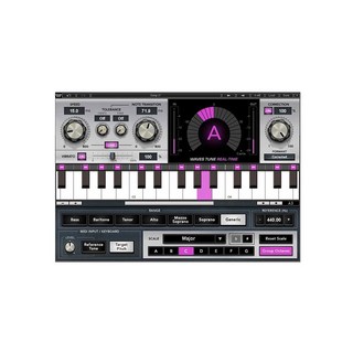 WAVES 【Waves Abbey Road SP！(～6/17)】Waves Tune Real-Time(オンライン納品専用) ※代金引換はご利用頂け...