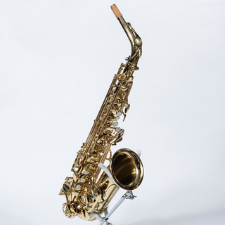 YANAGISAWA A-WO1