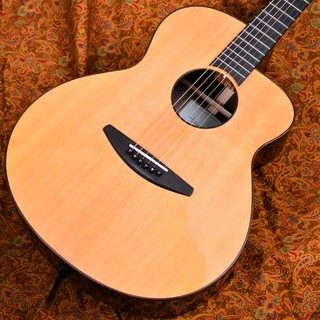baden guitarsA-SR