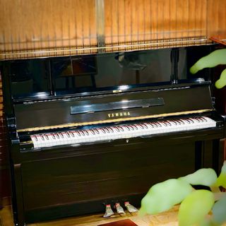 YAMAHA YAMAHA YU11【展示品限り・現物画像】