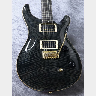 Paul Reed Smith(PRS) Custom24 Artist Package GB~Gray Black~【2008' USED】 