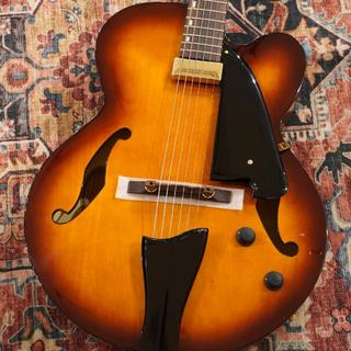 エレクトリックギター ＞ フルアコ、Ibanezの検索結果【楽器検索