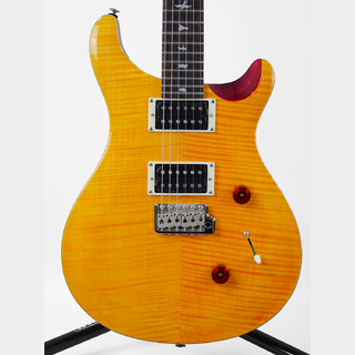 Paul Reed Smith(PRS)SE Custom 24 (Vintage Yellow)