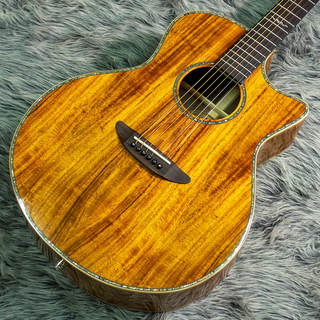 アコースティックギター／エレクトリック・アコースティックギター