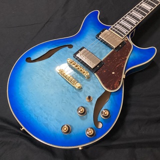 エレクトリックギター ＞ セミアコ、Ibanezの検索結果【楽器検索