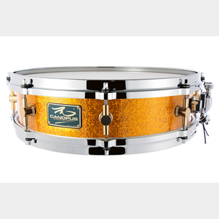canopus The Maple 4x14 Snare Drum Gold Spkl
