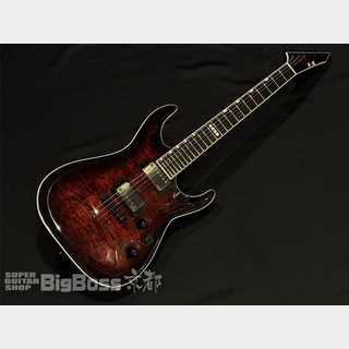 E-II HORIZON NT-II / See Thru Black Cherry Sunburst