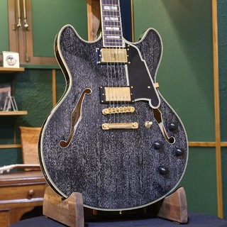 エレキギター、D'Angelicoの検索結果【楽器検索デジマート】