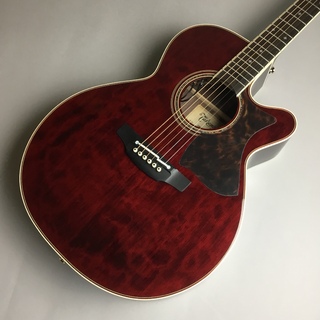 Takamine(タカミネ)DMP50S WR エレアコギター 【現物写真】【限定モデル】