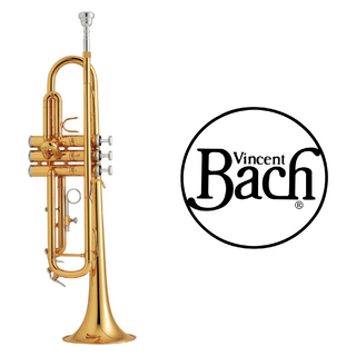 V.Bach TR600GL  "Aristocrat"【新品】【TRシリーズ】【ラッカー仕上】【横浜店】【WIND YOKOHAMA】