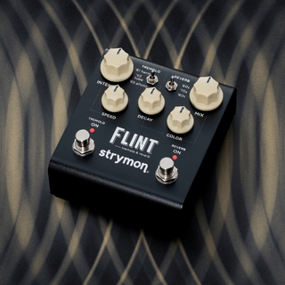 strymon FLINT (V2)