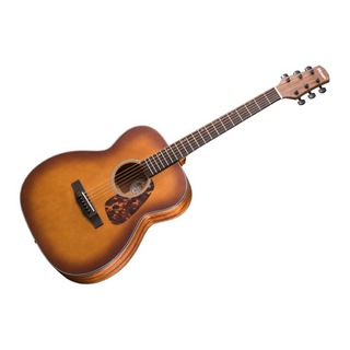 MorrisF-021 VS アコースティックギター