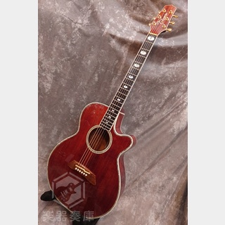 Takamine L-6