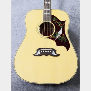 Gibson Dove Original #20734103