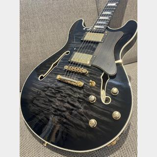 エレキギター、Framusの検索結果【楽器検索デジマート】