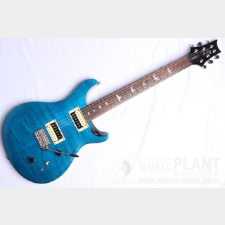 Paul Reed Smith(PRS)、SE custom22の検索結果【楽器検索デジマート】