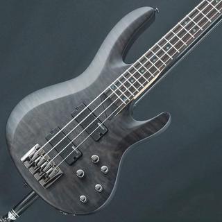 ある日のPCI Japan: XOTIC BASS アーカイブ