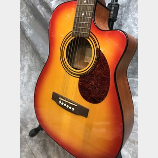 アコースティックギター／エレクトリック・アコースティックギター