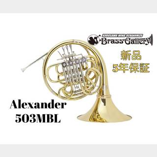 Alexander 503MBL【新品】【アレキサンダー】【イエローブラス】【ラッカー】【ガイヤータイプ】【ウインドお茶の水】